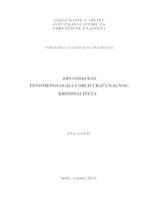 prikaz prve stranice dokumenta Fenomenologija i oblici računalnog kriminaliteta