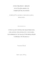 prikaz prve stranice dokumenta Učestalost infekcije bakterijama Chlamydia trachomatis i Neisseria gonorrhoeae iz različitih bioloških uzoraka nuškaraca